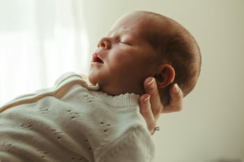 Newborn baby sleeping peacefully in a parents hands in soft window light