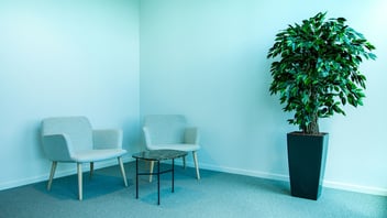Welcoming room with two chairs and a plant