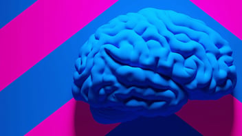 The Power of Thinking Patterns