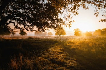 Processing Past Trauma With EMDR