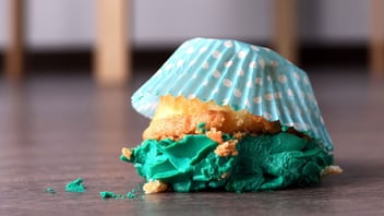 What to Do When You Fail? How to Turn Failure into a Success
