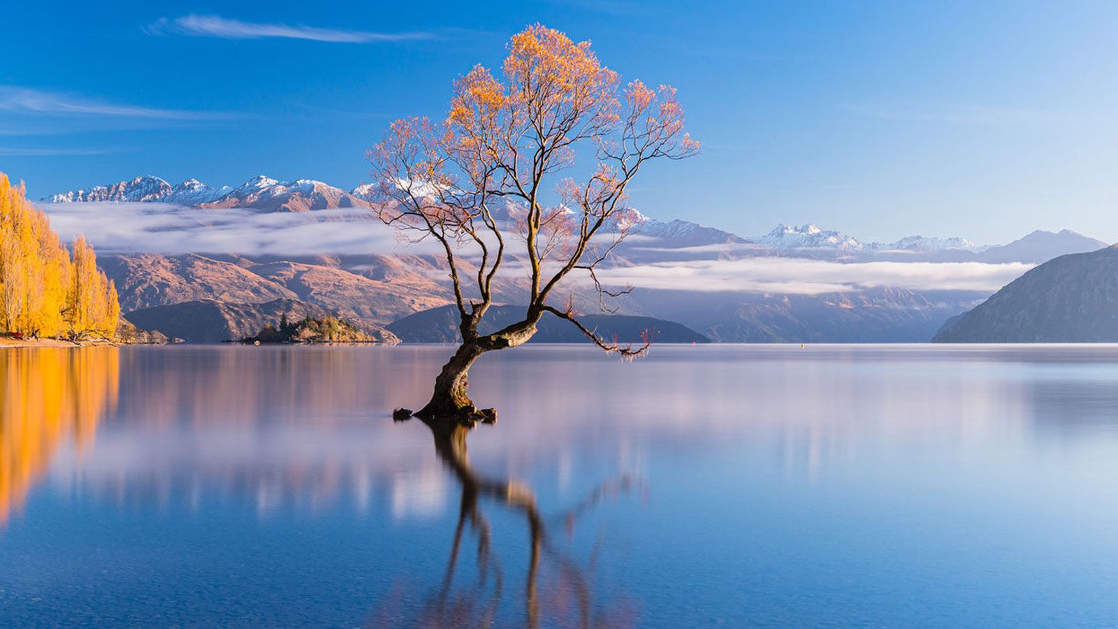 4 Surprisingly Effective Ways to Deal with Seasonal Affective Disorder