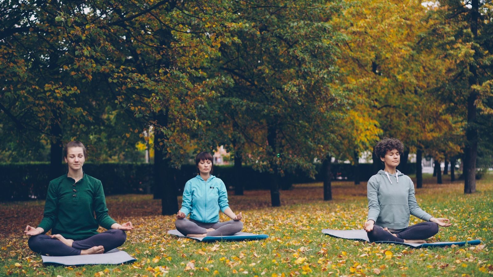 Friends resting in the present moment outdoors