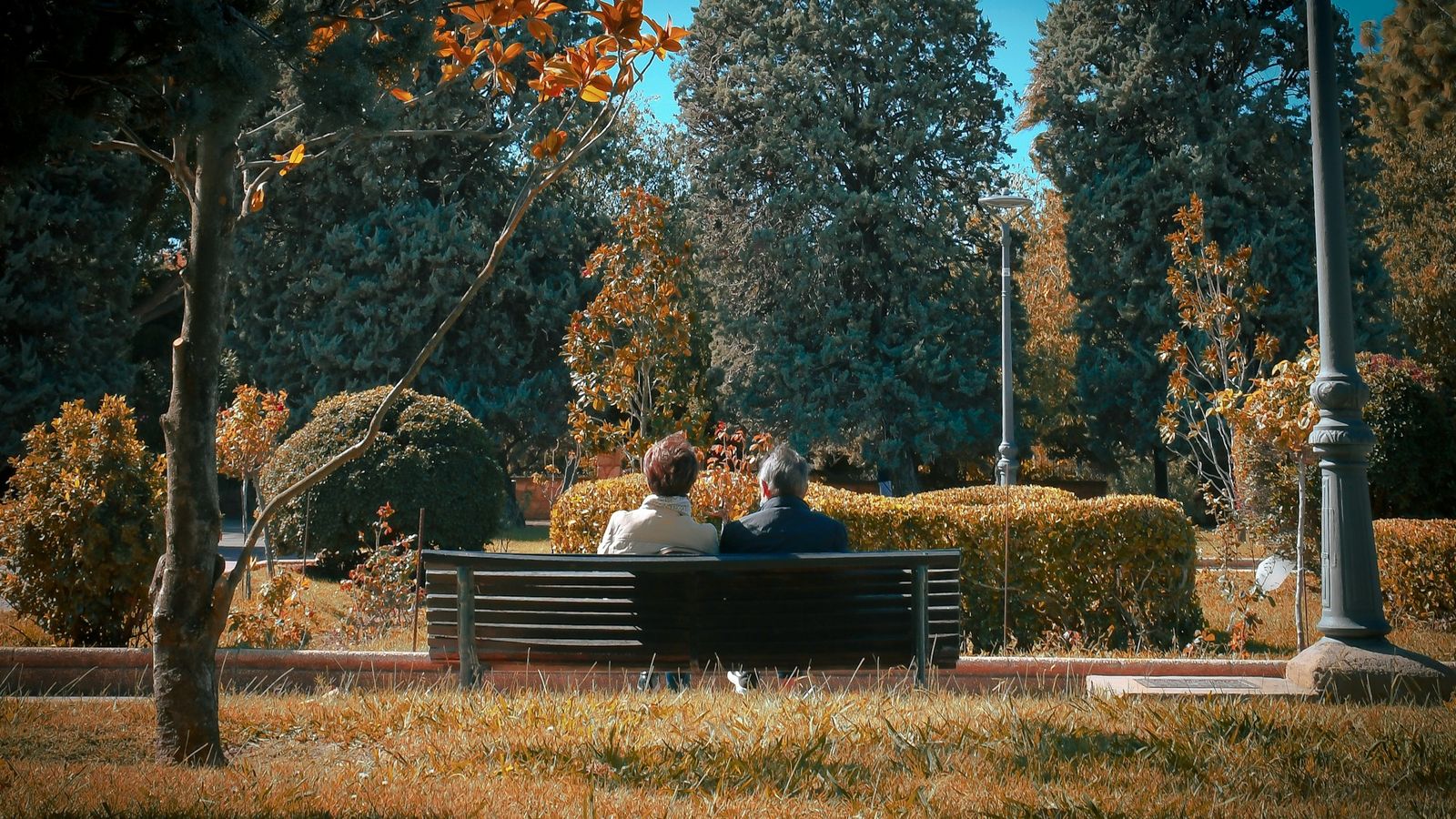 Two people sitting close together on a park bench among autumn trees