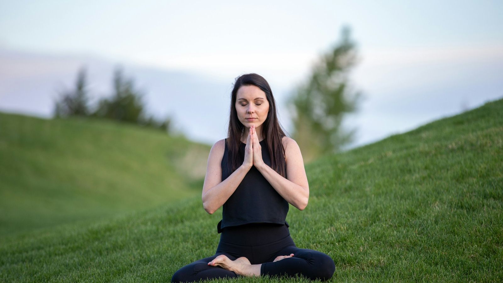 Quiet moment of calm on a green field