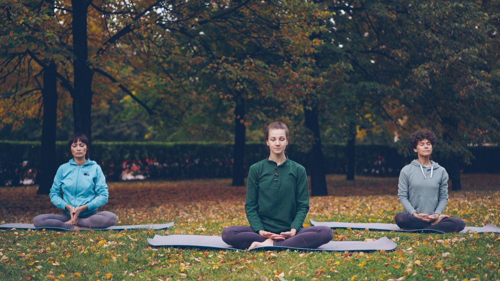 Group practicing mindful awareness in the park
