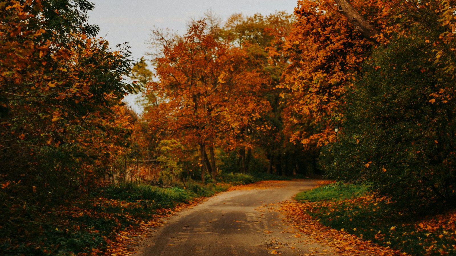 Quiet country road opening ahead