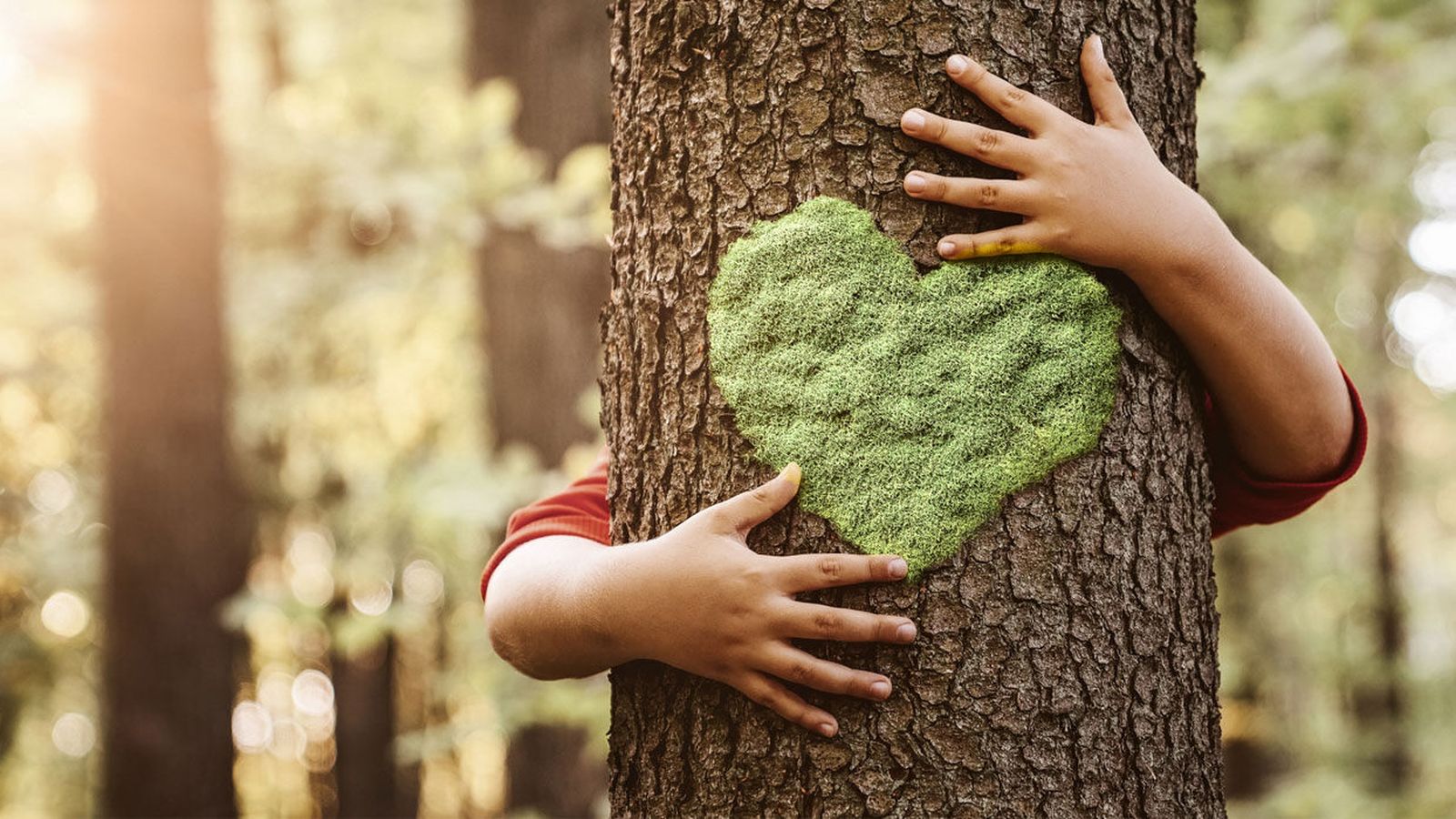 How Adults Can Protect the Mental Health of Children