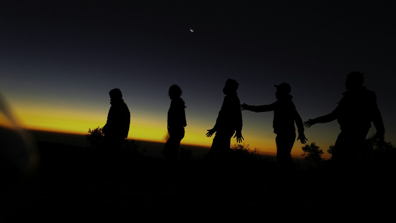 a group of friends walking across a field at sunset
