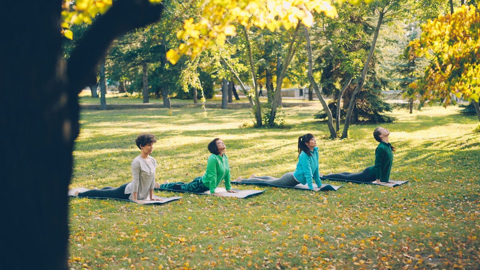 Group yoga session in an autumn park