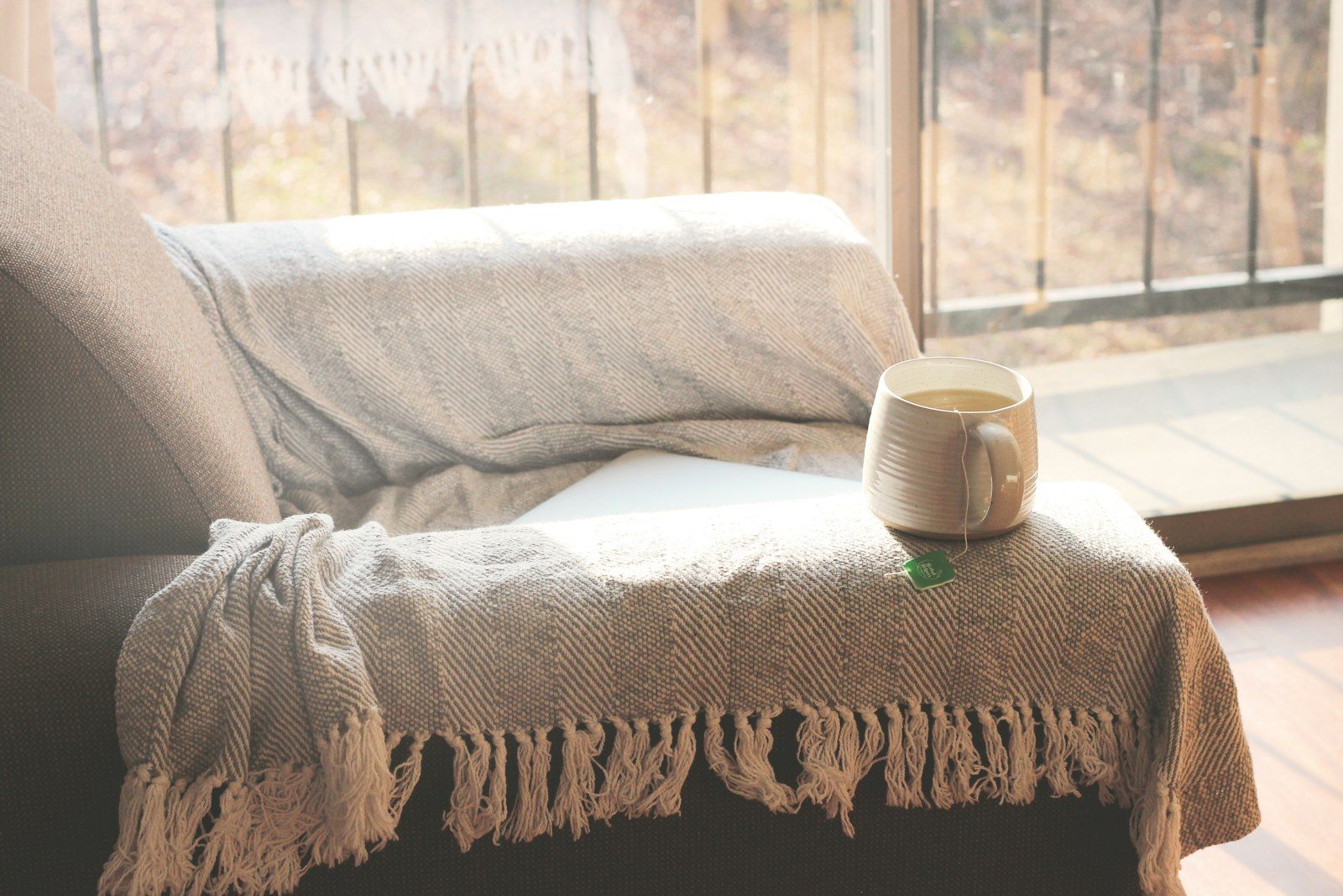 Sunlit couch with a soft blanket and a warm mug of tea by a bright window
