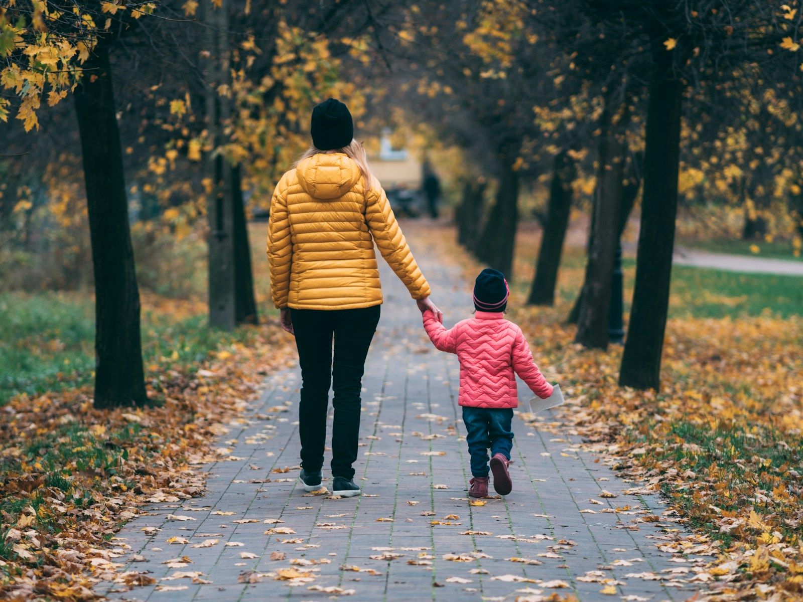 Parent and young child holding hands, walking down a tree lined path
