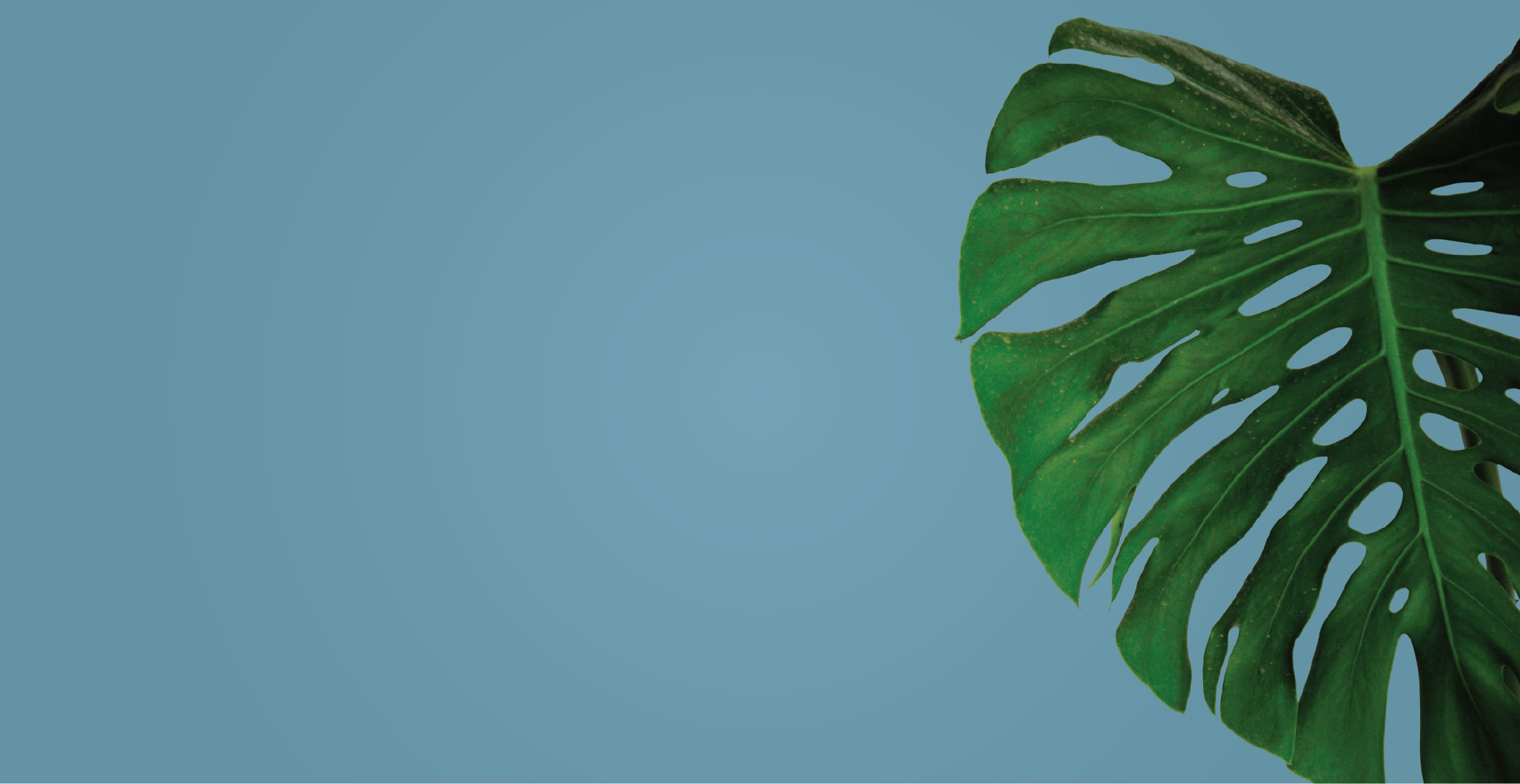 Alternatives to Family Care Center for Talk Therapy Without Medication Management